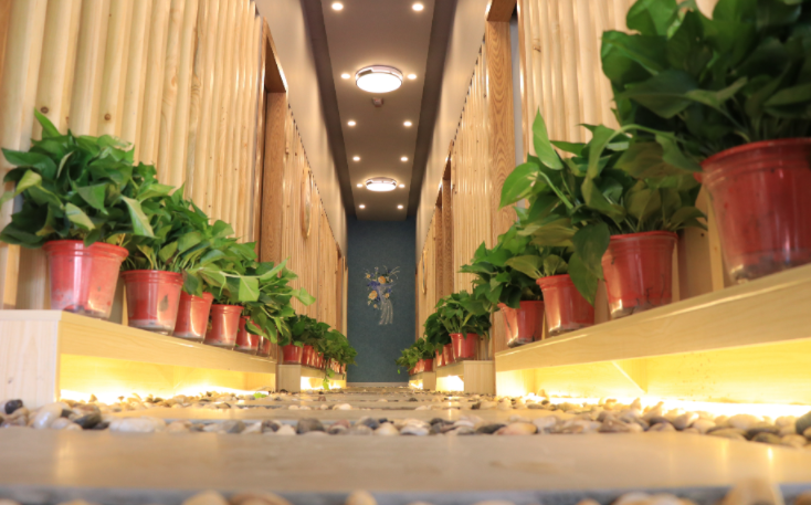 四川成都采耳体验馆